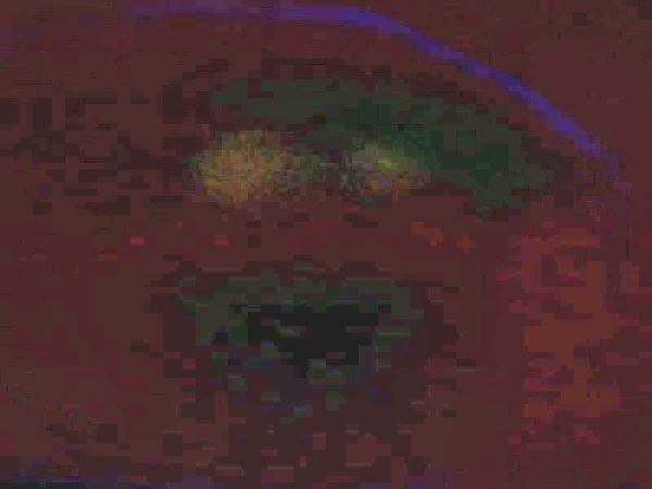 symbolical meaning2.jpg