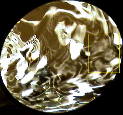 Jan7 mkrp 0sec couple-crop-hl.jpg