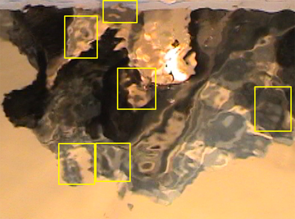 Mar17 rp 4sec man goatee-crop-hl.jpg