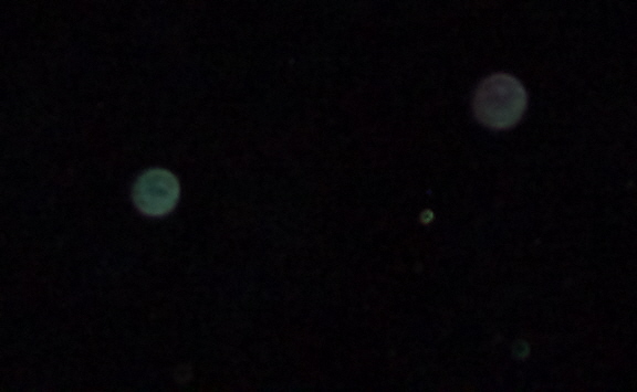 046-copy inverted and elarged-3.jpg