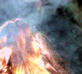 2007_12_26_hp_mistyhead___1_3593 (2).jpg