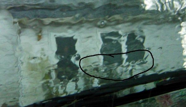 writting in the rain circled.jpg