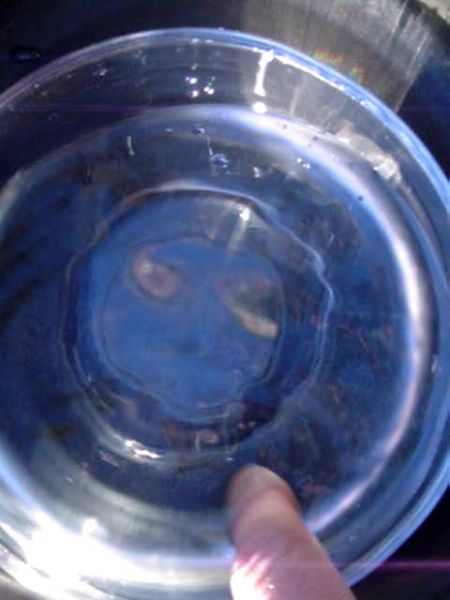 Sep29_graves 071.jpg