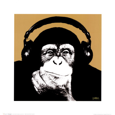 steez-headphone-monkey.jpg