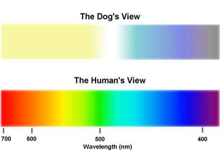 color-spectrum.jpg