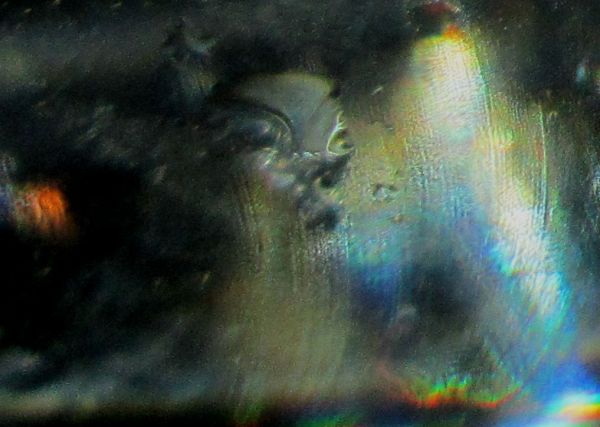 looks like sea monster.jpg