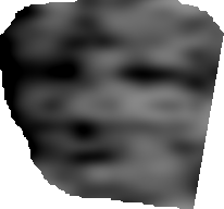 rosto de guepardo.bmp