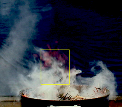 May27 smoke fire 30sec smooth large smile-crop-hl-sm.jpg