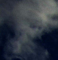 296-2.jpg