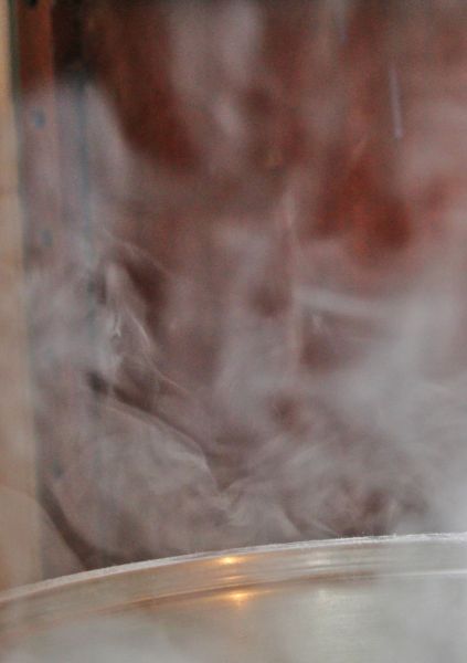 ITC 17 Oct 2014  (26) Dancer sml.JPG