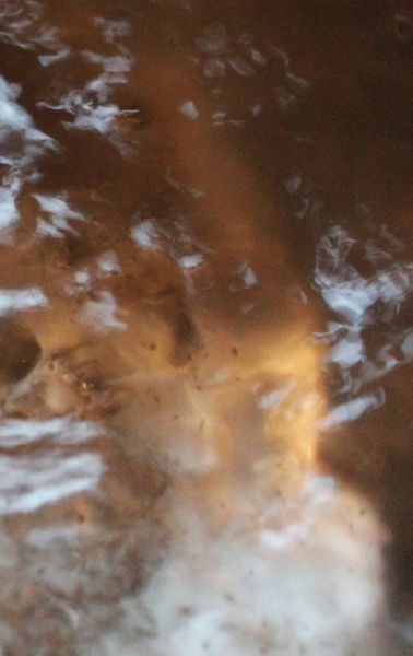 2014 October Water Face 08 Ballerina.JPG