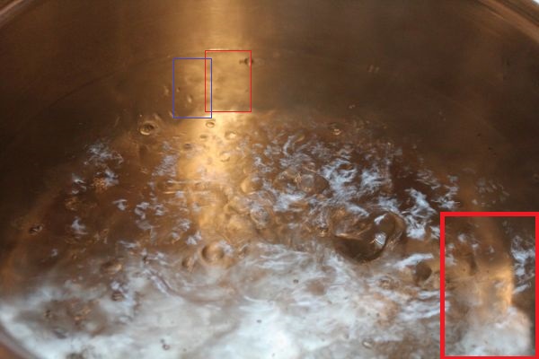 Ballerina full pot 3.JPG