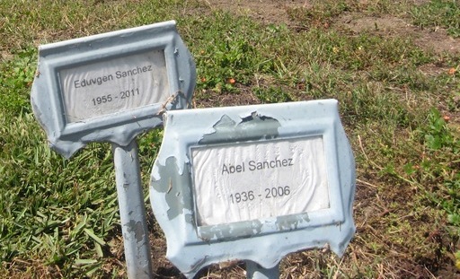 photos today 015.JPG